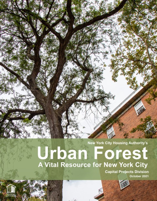 Urban Forest